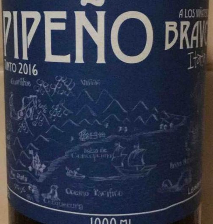 Pipeño Tinto - A Los Viñateros Bravos / Onda Brava - leonardo-erazo 