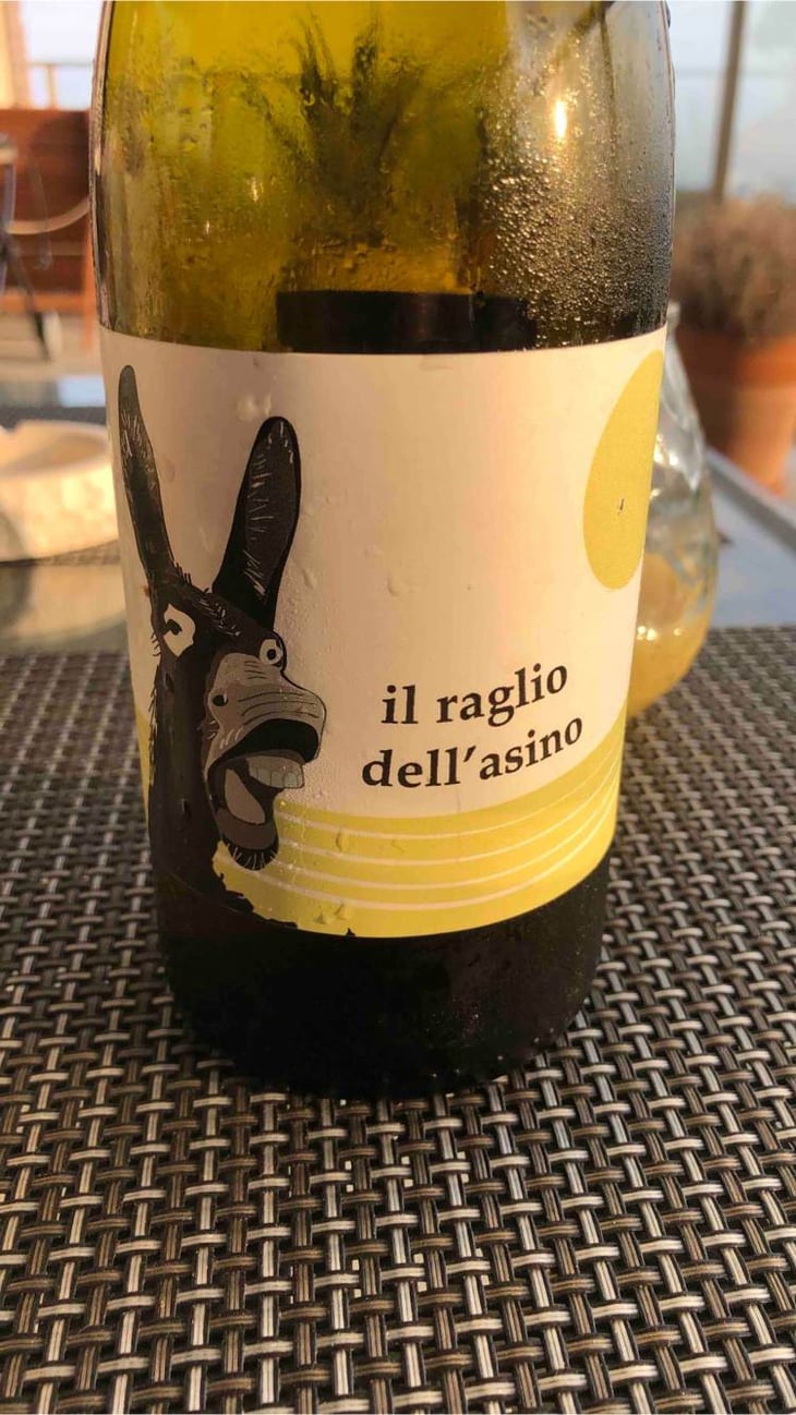 Il Raglio Dell’asino - L'Acino - dino-briglio-nigro 