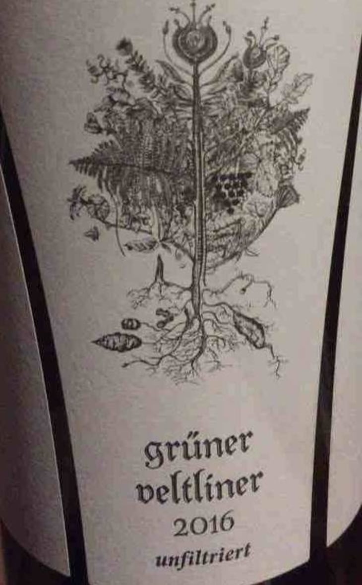Grüner Veltliner - Schmelzers Weingut - georg-elisabeth-schmelzer 