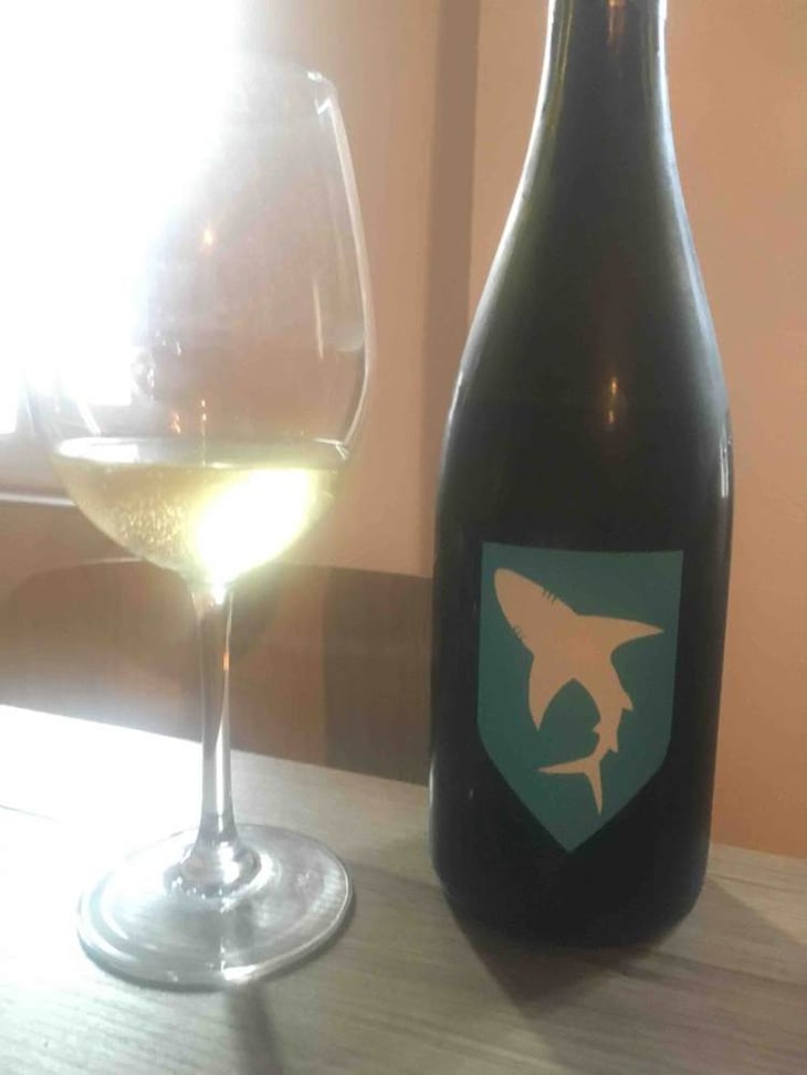 Les Requins - Le Sot de l'Ange - angelique-quentin-bourse 