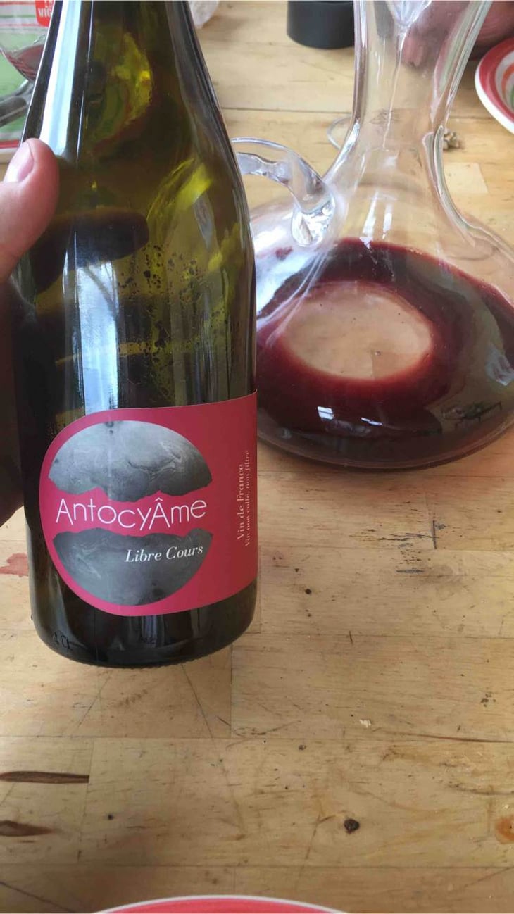 Libre Cours - AntocyÂme - muriel-zoldan 