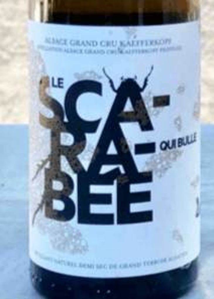 Le Scarabée qui Bulle - Domaine Christian Binner - christian-binner-et-son-equipe 