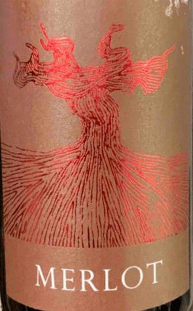 Merlot - Weingut Bianka und Daniel Schmitt - daniel-bianka-schmitt 