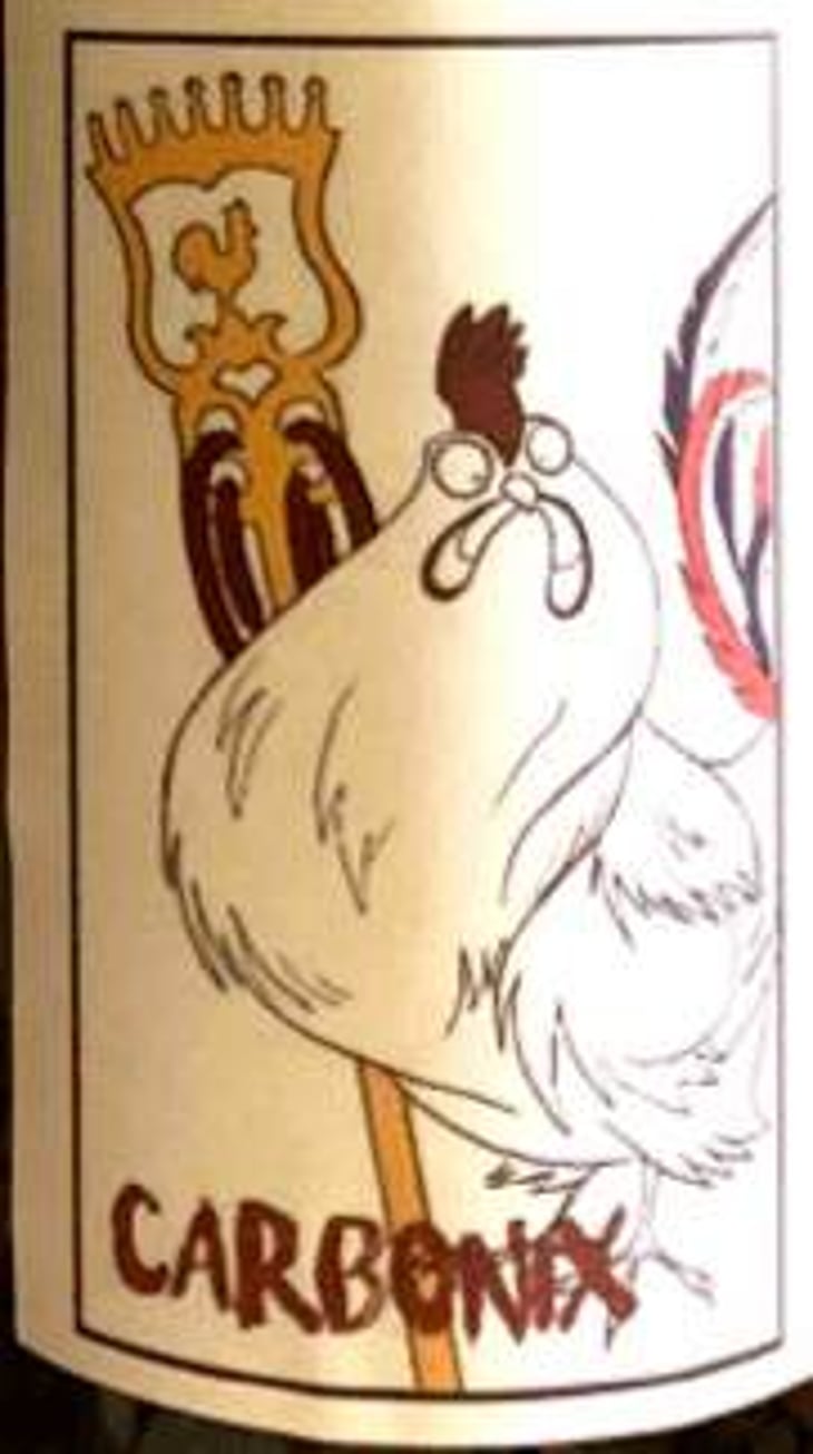 Carbonix - ClosForano - Azienda Agricola S. Francesco S.S. Di Bocchini U. & C. - carlotta-christophe-fustinoni 