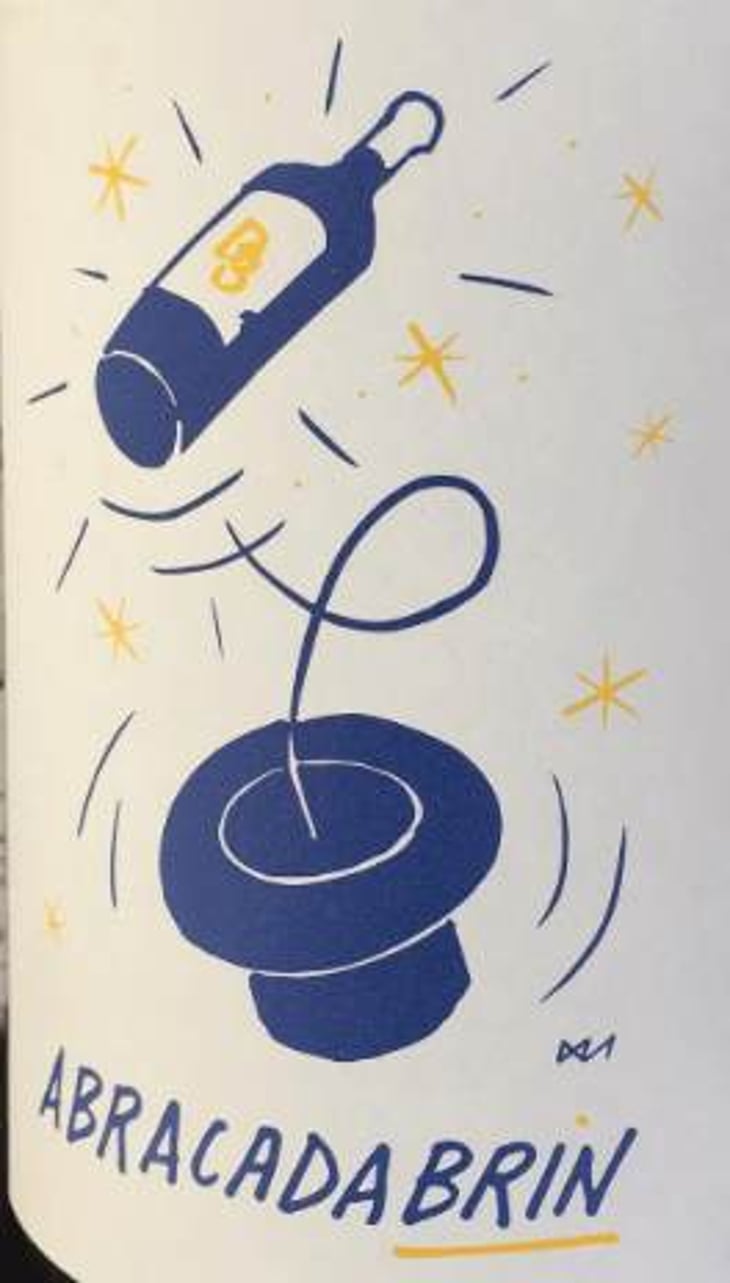 Abracadabrin - Domaine de Brin - damien-bonnet 