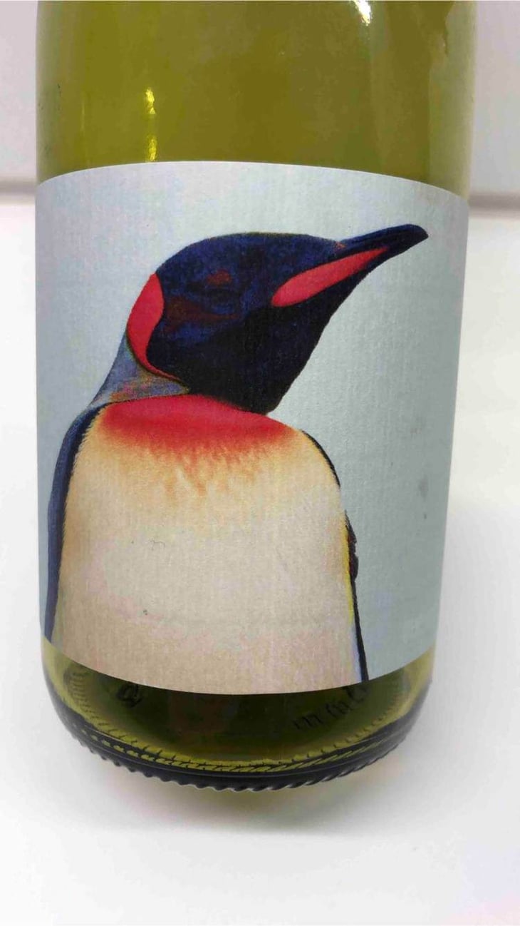 Tropical - La Recerca / Zulu Wine - jessica-albero-laurent-pujol 