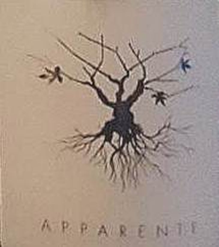 Apparente Blanc - Chateau Puech redon - cyril-cuche 