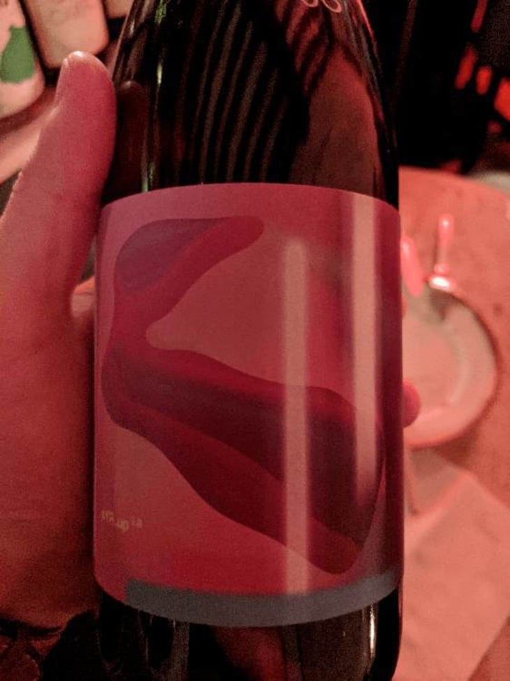 SyR.up2.0 - Do.t.e. - filippo-calabresi 