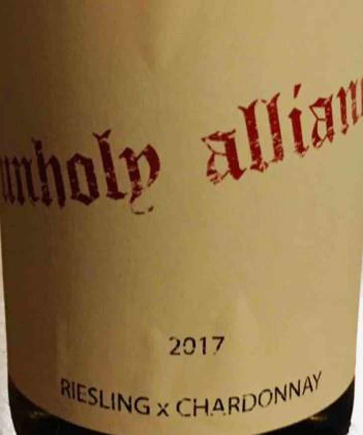 Unholy Alliance - Brand Bros - Weingut Brand - daniel-jonas-brand 
