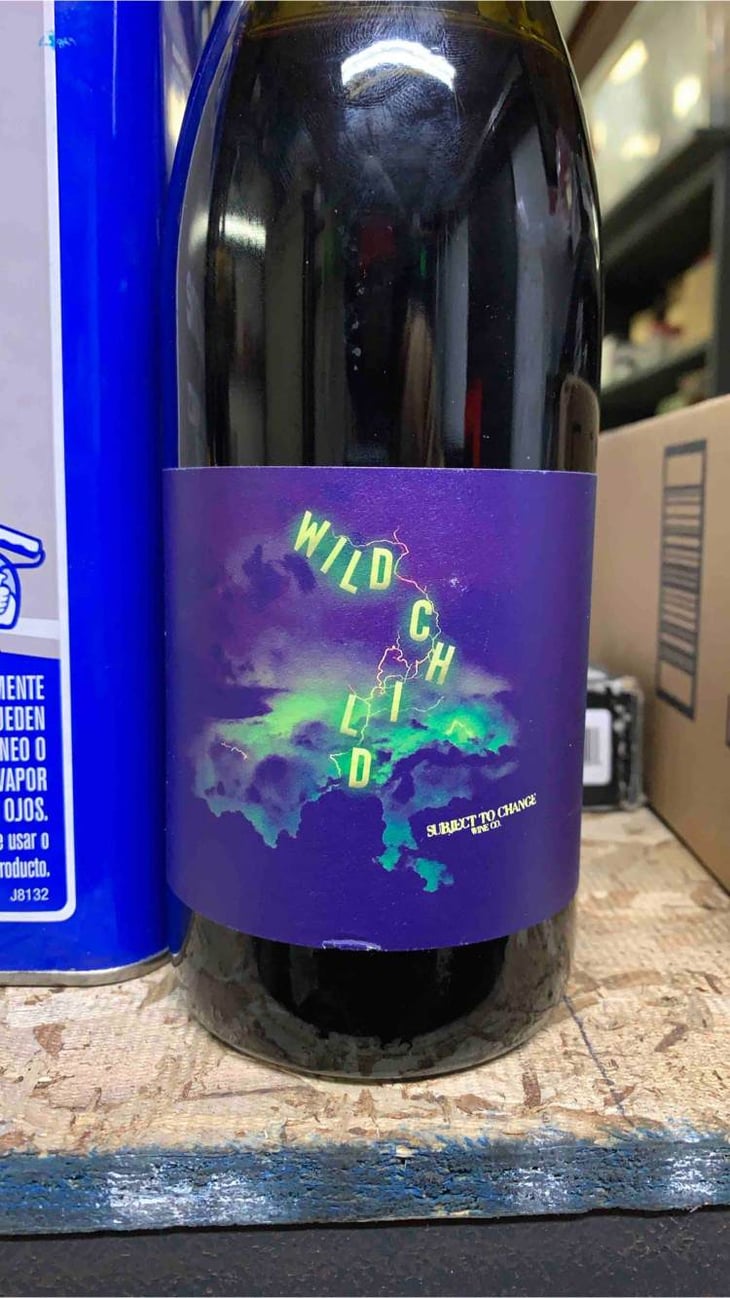 Wild child - Subject to Change - alex-pomerantz 