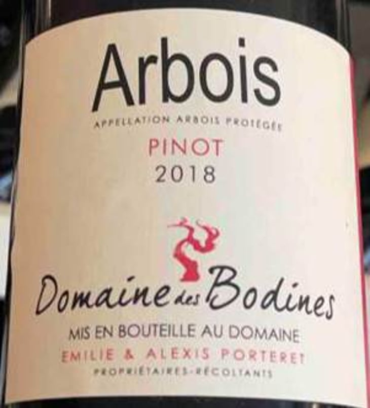Pinot - Domaine des Bodines - emilie-alexis-porteret 