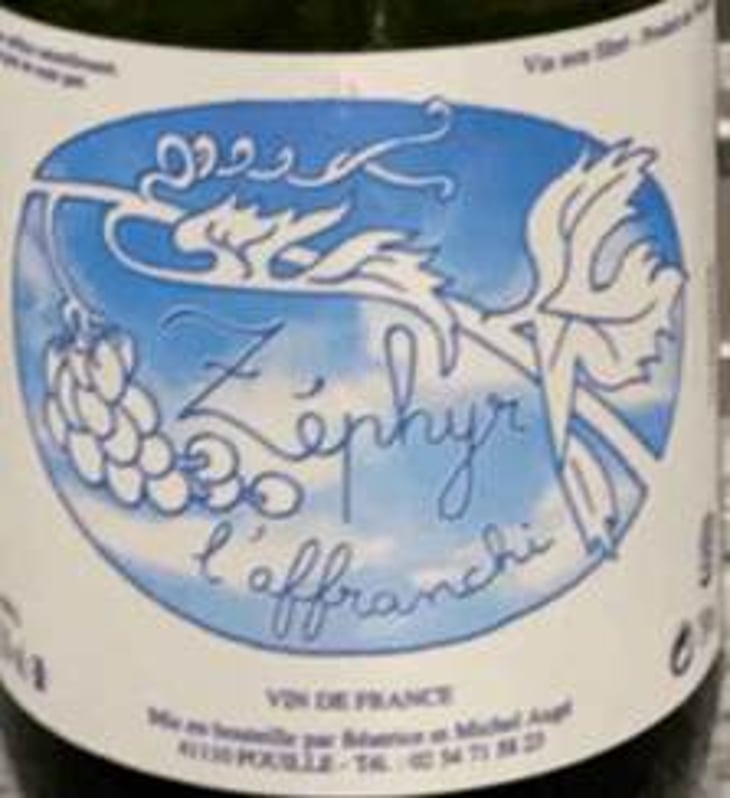 Zephyr L’affranchi - Domaine des Maisons Brûlées - beatrice-michel-auge-retired 