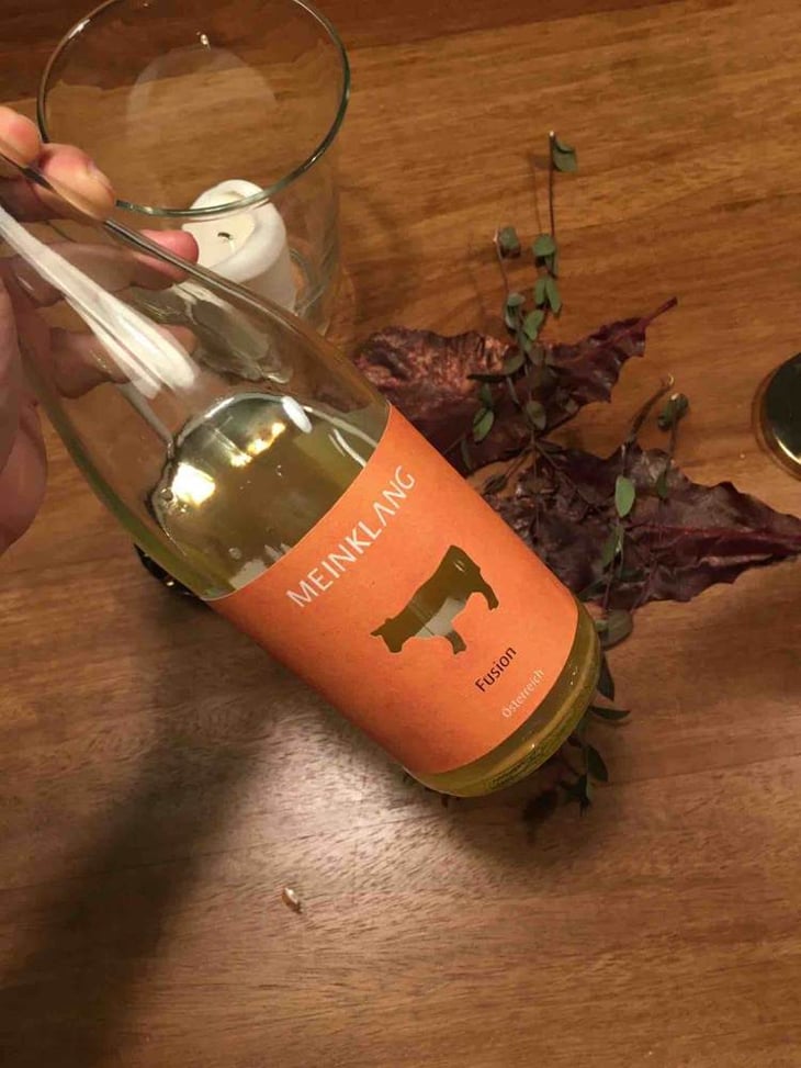 Fusion - Meinklang - Weingut Michlits - angela-werner-michlits 