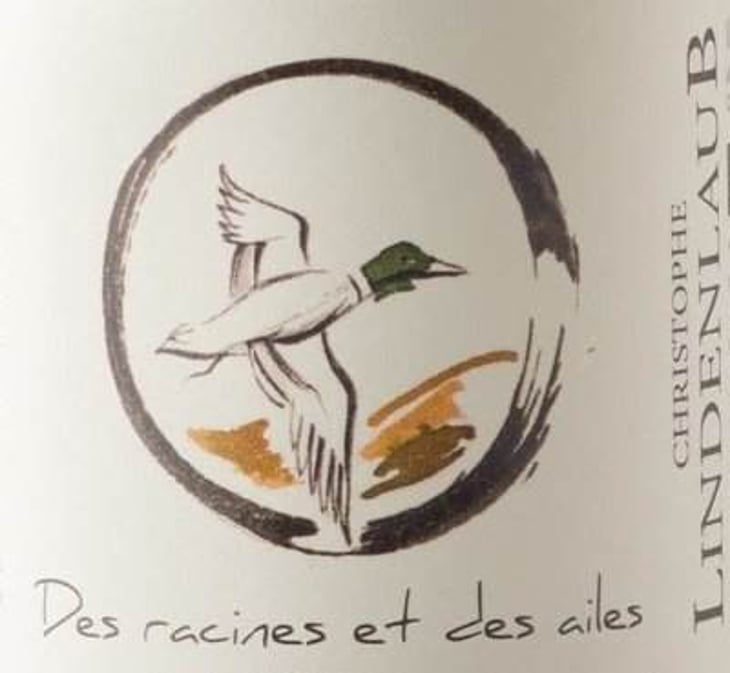 Des Racines Et Des Ailes - Lindenlaub - christophe-lindenlaub 