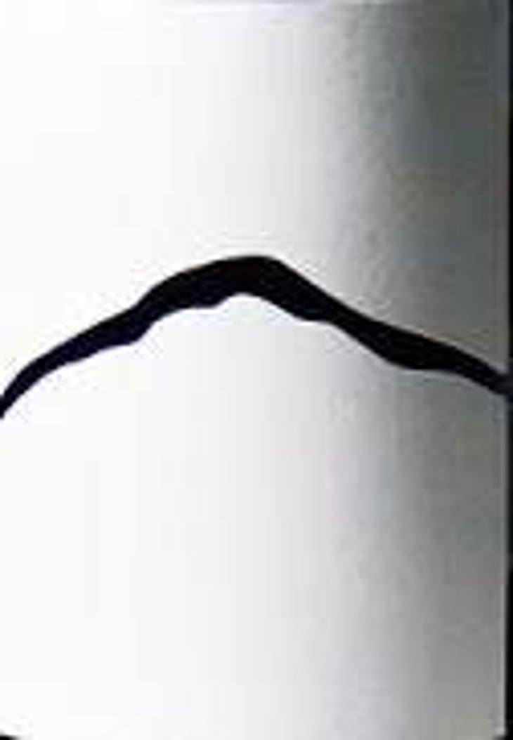 BFF - Joiseph Weingut - richard-artner-xandl-kagl-luka-zeichmann 