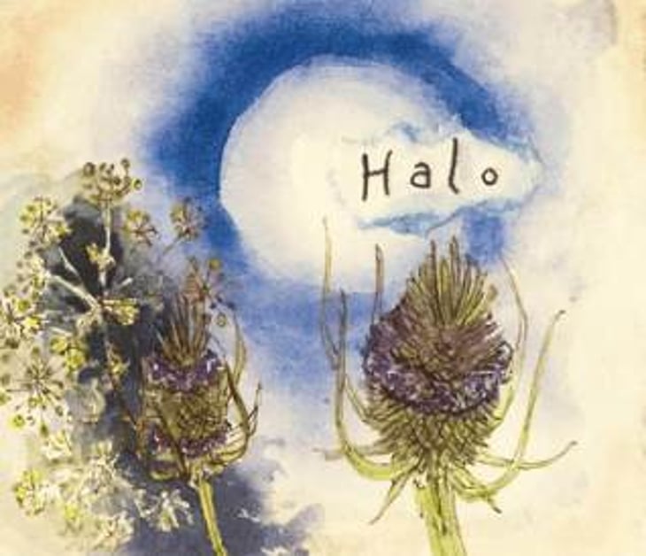 Halo “Spring Ephemeral” - Hiyu Wine Farm - nate-ready 