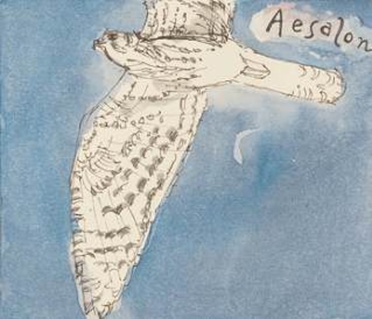 Aesalon - Hiyu Wine Farm - nate-ready 