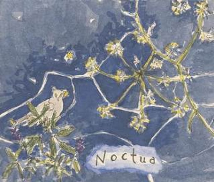 Noctua - Hiyu Wine Farm - nate-ready 