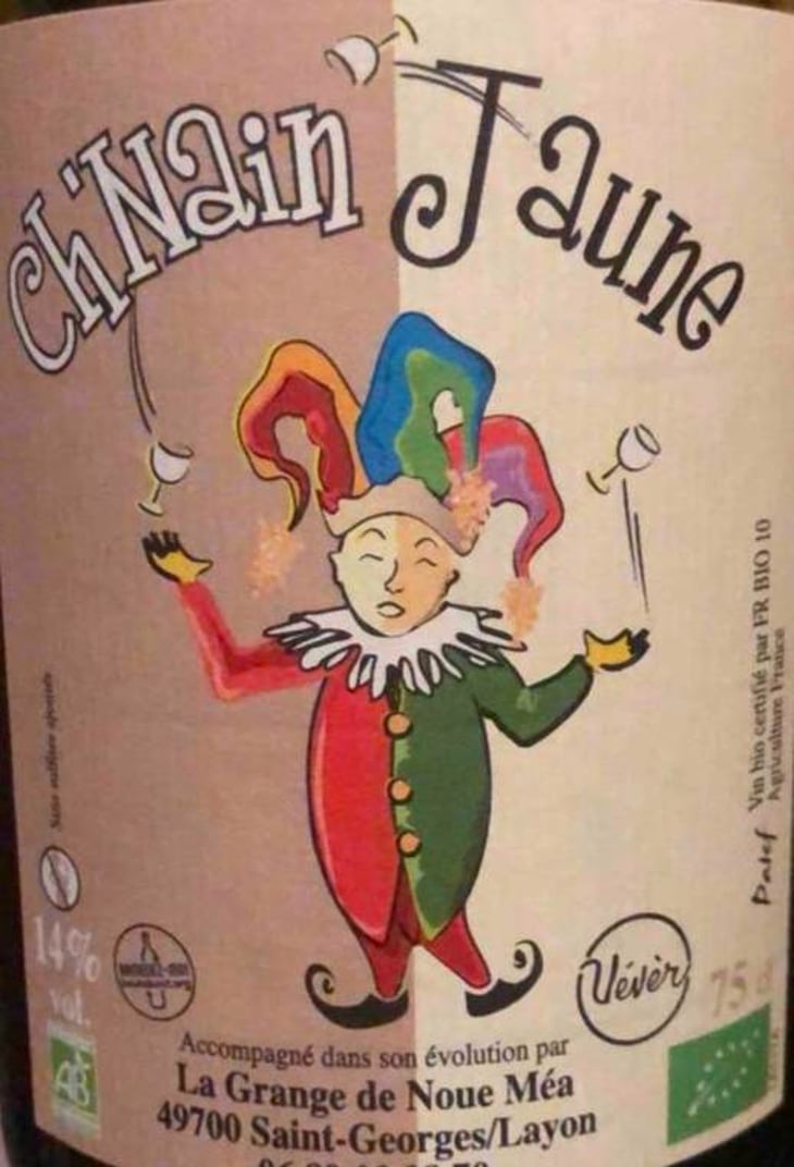 Ch’nain Jaune - La Grange de Noue Méa - marie-percevault-herve-bosse 