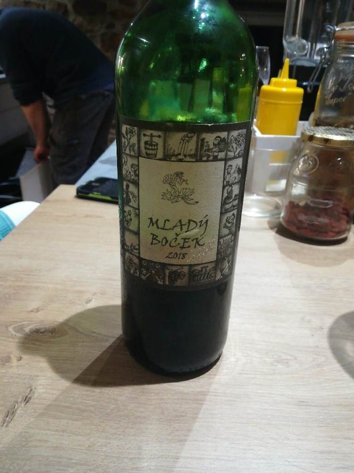 Mlady Bocek - Richard Stavek - richard-stavek 