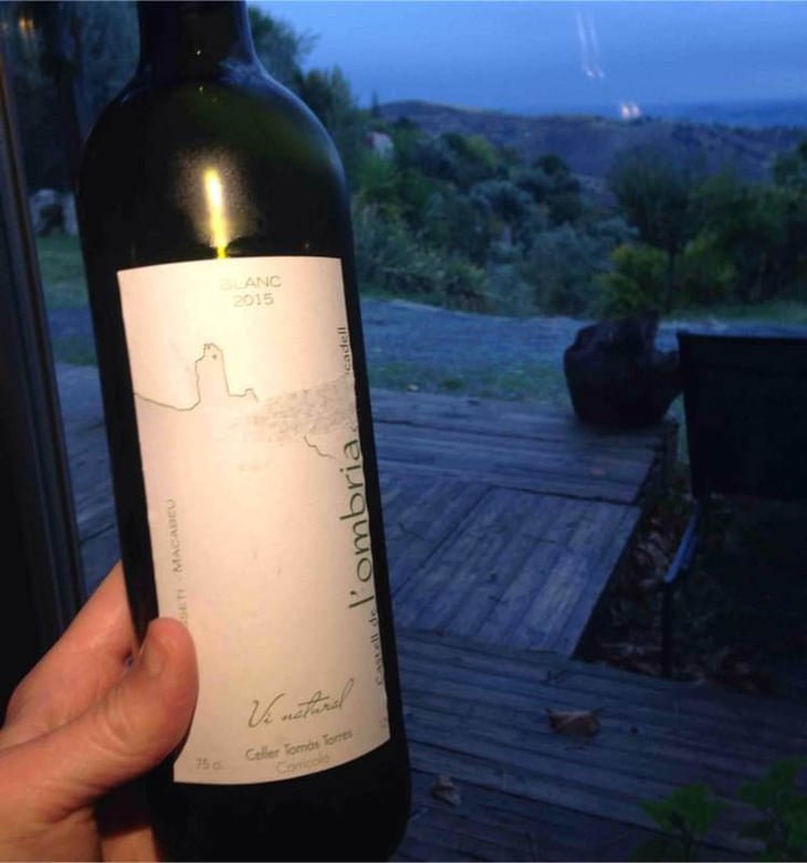 Castell De L'ombria - Celler Tomàs Torres - vicent-tomas-soler 