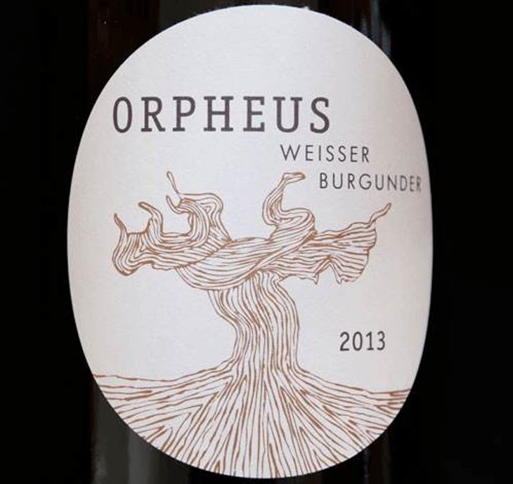 Orpheus Weisser Burgunder - Weingut Bianka und Daniel Schmitt - daniel-bianka-schmitt 