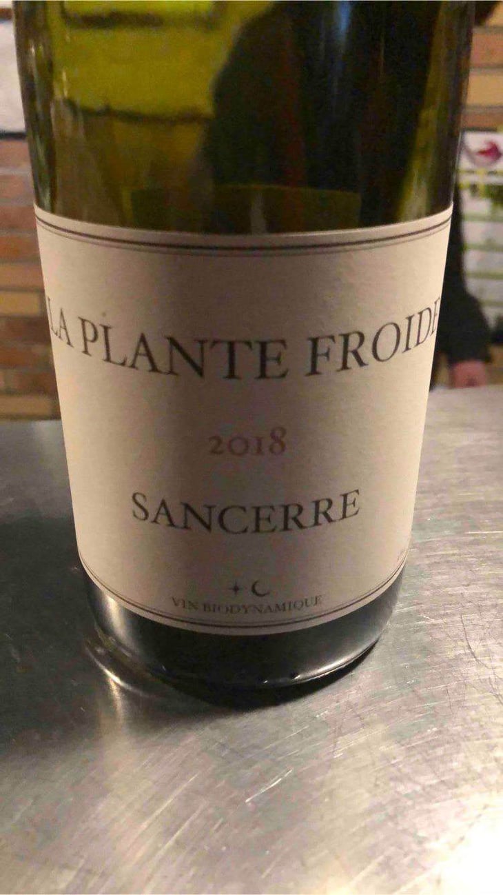 La Plante Froide Sancerre - Domaine Du Nozay - cyril-de-benoist 