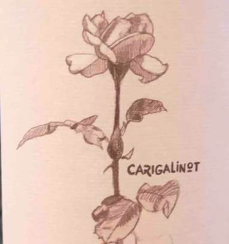 Carigalinot - Alice & Olivier De Moor - alice-olivier-de-moor 