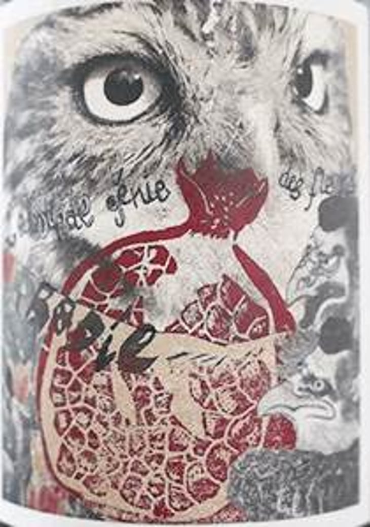 Rodie - L’absurde Génie Des Fleurs - miha-trifa-tom-gautier 