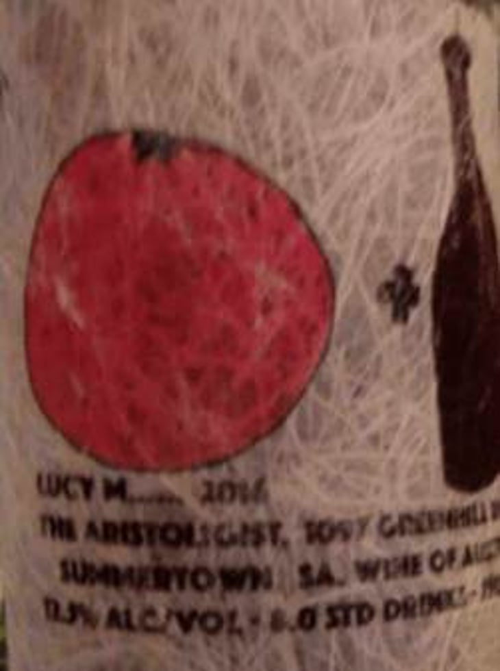 Ester - Lucy Margaux Vineyards - anton-van-klopper 