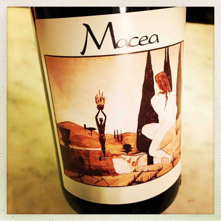 Pinot Nero - Azienda Agricola Macea - cipriano-antonio-barsanti 