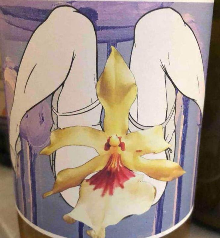 Mille Plateaux - Collectif Anonyme (RETIRED) - collectif-anonyme-retired 