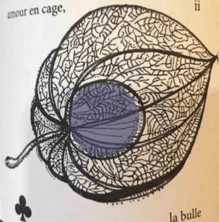 Amour En Cage - Lolita Sene - lolita-sene 