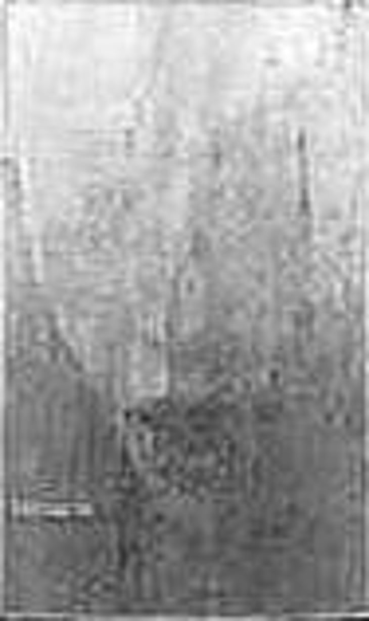 Même Si 2013 - Ludovic Engelvin - ludovic-engelvin 