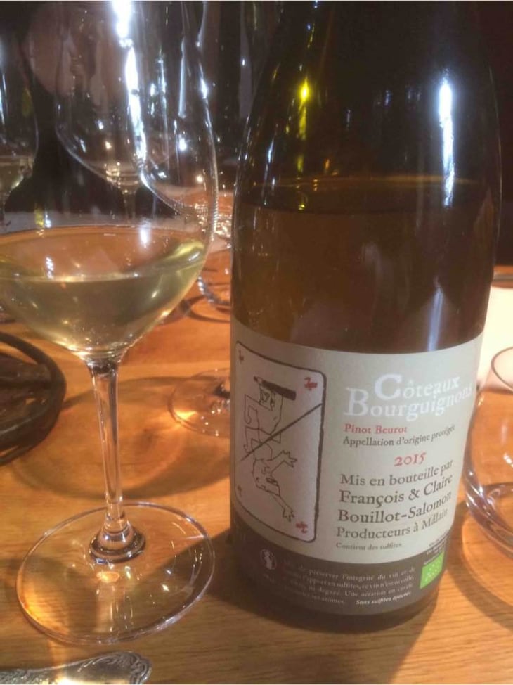 Pinot Beurrot - Bouillot-Salomon - francois-claire-bouillot-salomon 