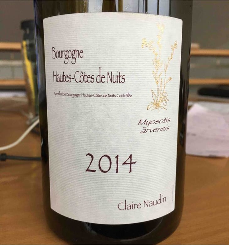 Myosotis Arvensis - Domaine Henri Naudin-Ferrand - claire-naudin 