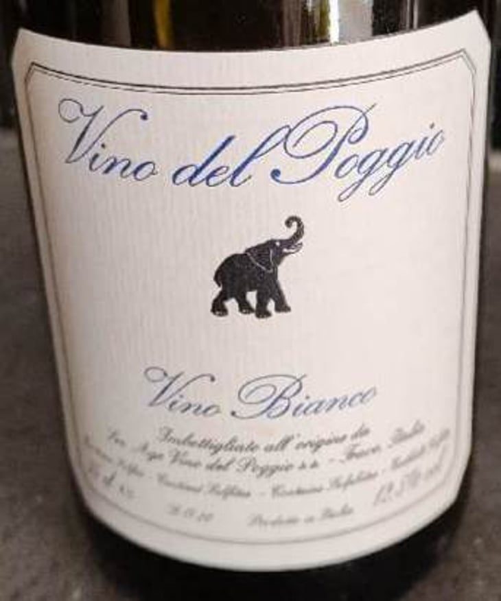 Vino Bianco - Vino del Poggio - andrea-cervini -2020