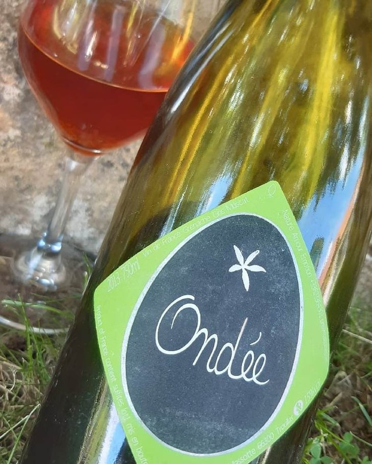 Ondée - Clos Massotte - pierre-nicolas-massotte 