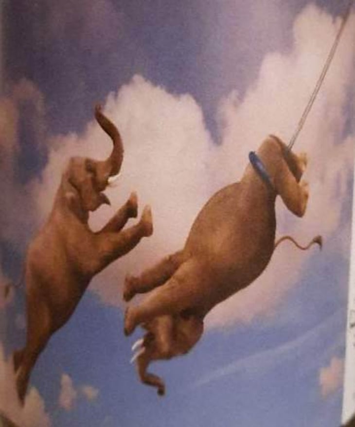 Envole-moi - Le Mas De La Lune - vanessa-matthieu-courtay 