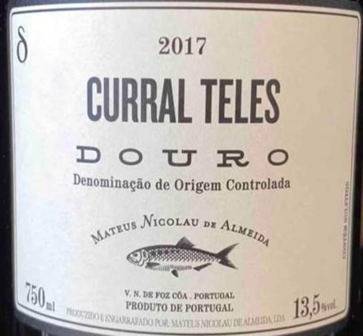 Curral Teles - Delta - Adega do sável (Alosa Alosa) - mateus-nicolau-de-almeida 