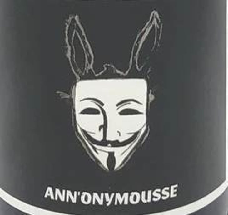 Ann'onymousse - Autour de l'Anne - anne-leclerc-paillet 