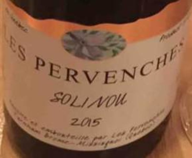 Solinou - Les Pervenches - veronique-hupin-michael-marler 