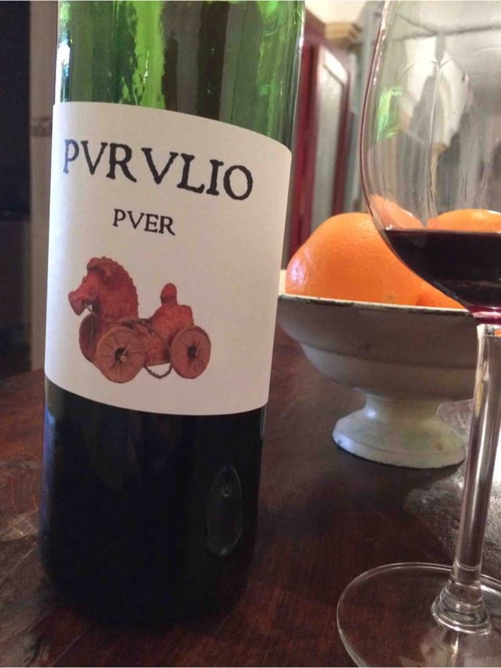 Puer - Viñas de Purulio-Bodega Torcuato Huertas Tomás - tomas-torcuato-huertas 