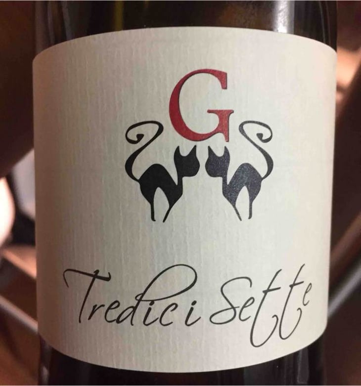 Tredici Sette - Azienda Agricola Gatti - carolina-gatti 