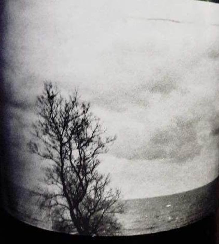 47°10'20"N 1°16'49"W - Les Chants Jumeaux - matthieu-lhotelier 