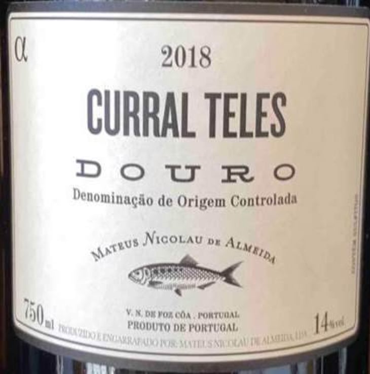 Curral Teles - Alfa - Adega do sável (Alosa Alosa) - mateus-nicolau-de-almeida 