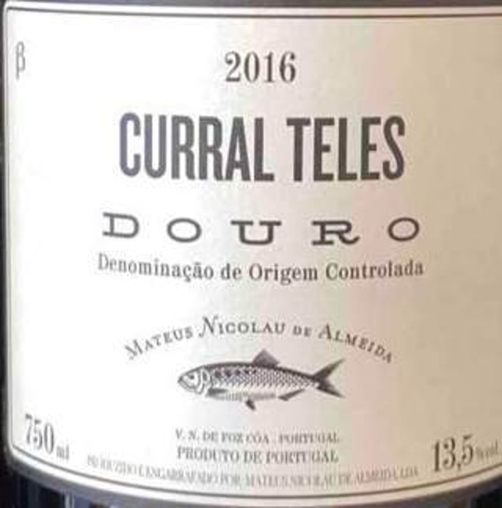 Curral Teles - Beta - Adega do sável (Alosa Alosa) - mateus-nicolau-de-almeida 