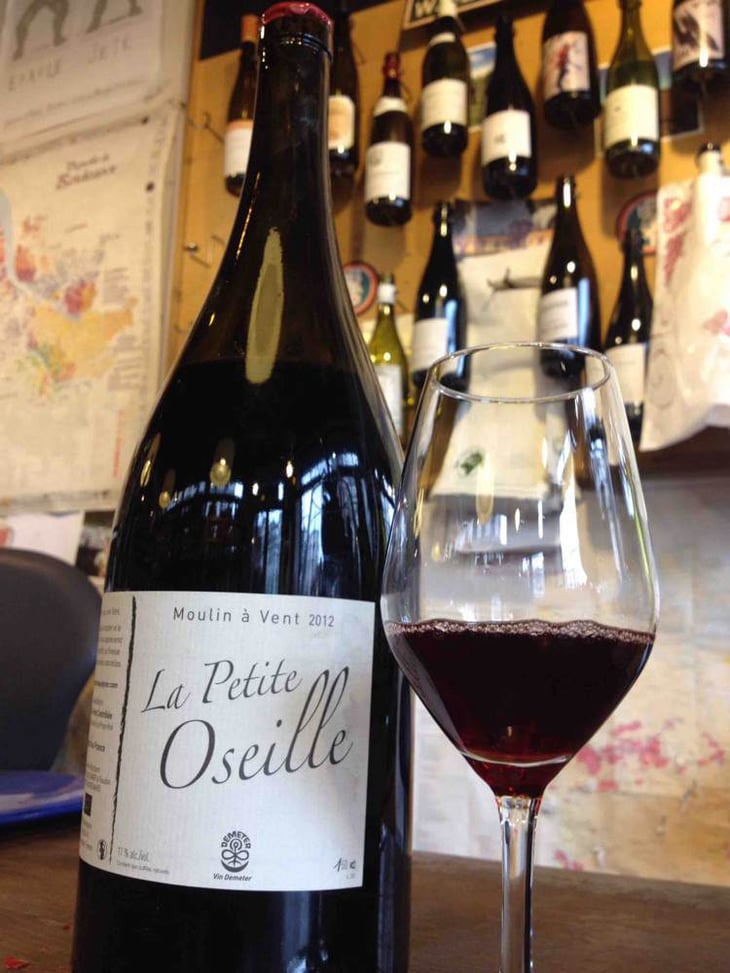 La Petite Oseille - Michel Guignier - michel-guignier 