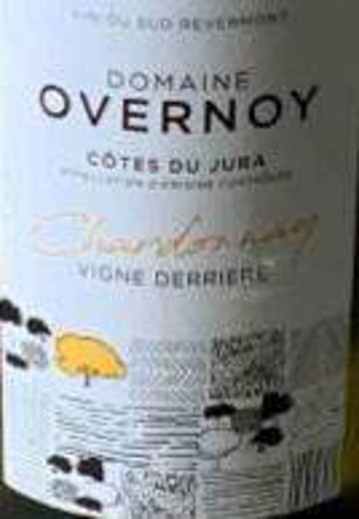 Vigne Derrière - Domaine Overnoy - guillaume-overnoy 