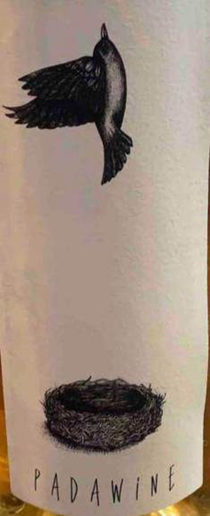 Padawine Macération (X Vincent Alexis) - L'Ambitio - romuald-cousy 